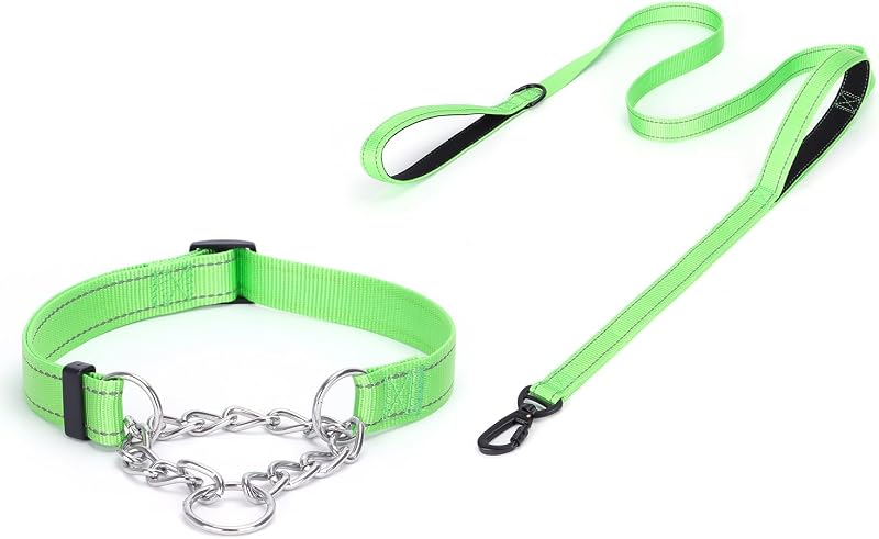 Coleira Martingale para Cães com Corrente de Aço Inoxidável e Faixa Refletiva Pimaodog, Ajustável, Verde, Tamanho Grande (L)
