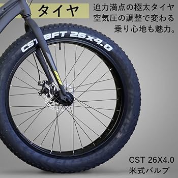 Amazon | アイゼルキャンプ(Eizer Camp) ビーチクルーザー 【ファット Amazon | アイゼルキャンプ(Eizer Camp) ビーチクルーザー 【ファット