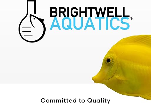 Brightwell Aquatics Magnesion Ionic Magnesium for Reef Aquariums, 1L