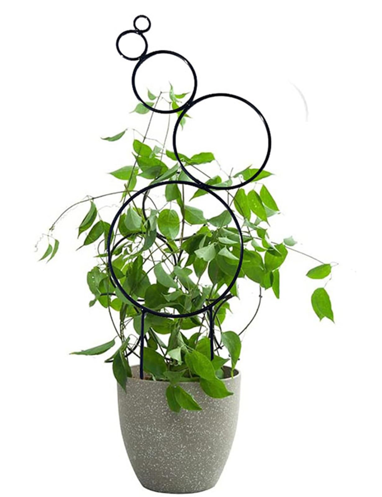 Enrejado De Metal Pequeño De 4 Uds para Plantas En Maceta, Enrejado De Plantas De Interior, Enrejado De Jardín Mini para Plantas En Maceta, Hoya,Pothos,Flower,Monstera(Color:Green)