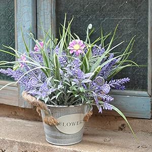 Artificial Plants Greenery Faux Lavender Flowers Purple in Pot 10" Tall Fake Potted Plant for Home Living Room Patio Coffee Table Farmhouse Aesthetic Bedroom Bathroom Decor Artificial Plants Greenery Faux Lavender Flowers Purple in Pot 10 Tall Fake Potted Plant for Home Living Room Patio Coffee Table Farmhouse Aesthetic Bedroom Bathroom Decor
