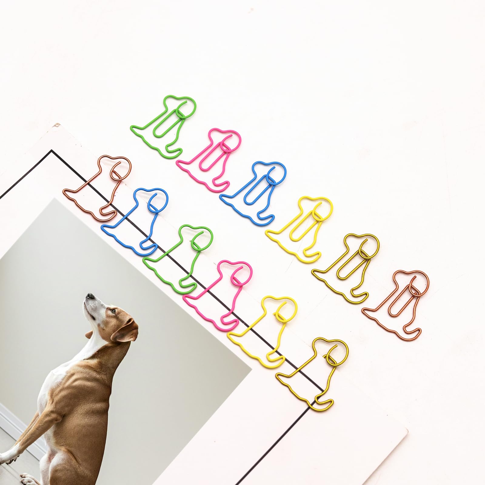 Büroklammern für Hunde, verschiedene Farben, Bürobedarf, Golden Retriever, Schreibwaren, Geschenke für Damen und Herren, 60 Stück