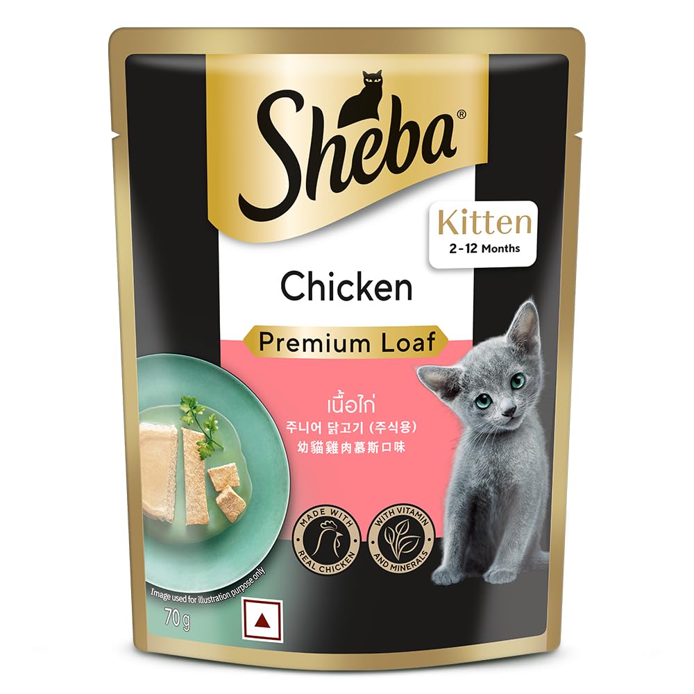 Fine Premium Kitten (2-12 months) Wet Cat Food, Chicken Premium Loaf, 70 g Pouch, High-moisture gravy kitten cat food for healthy hydration