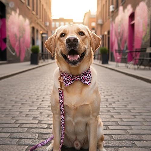 Miniatura 145 de PETDURO Collar de perro personalizado con nombre y teléfono grabado en hebilla de metal – Personalizado para perros medianos y grandes – Impresiones