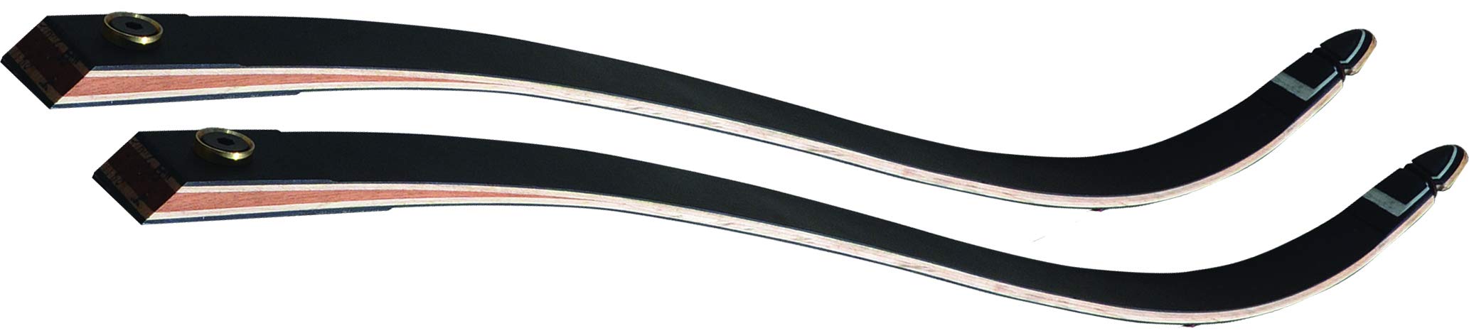 Fleetwood Spartan Recurve Limbs (55)