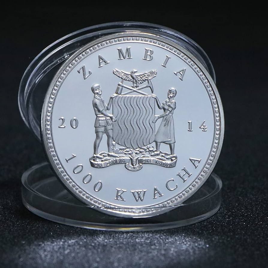 Amazon.co.jp: 記念コイン アフリカ動物 コインセット アフリカ 絶滅