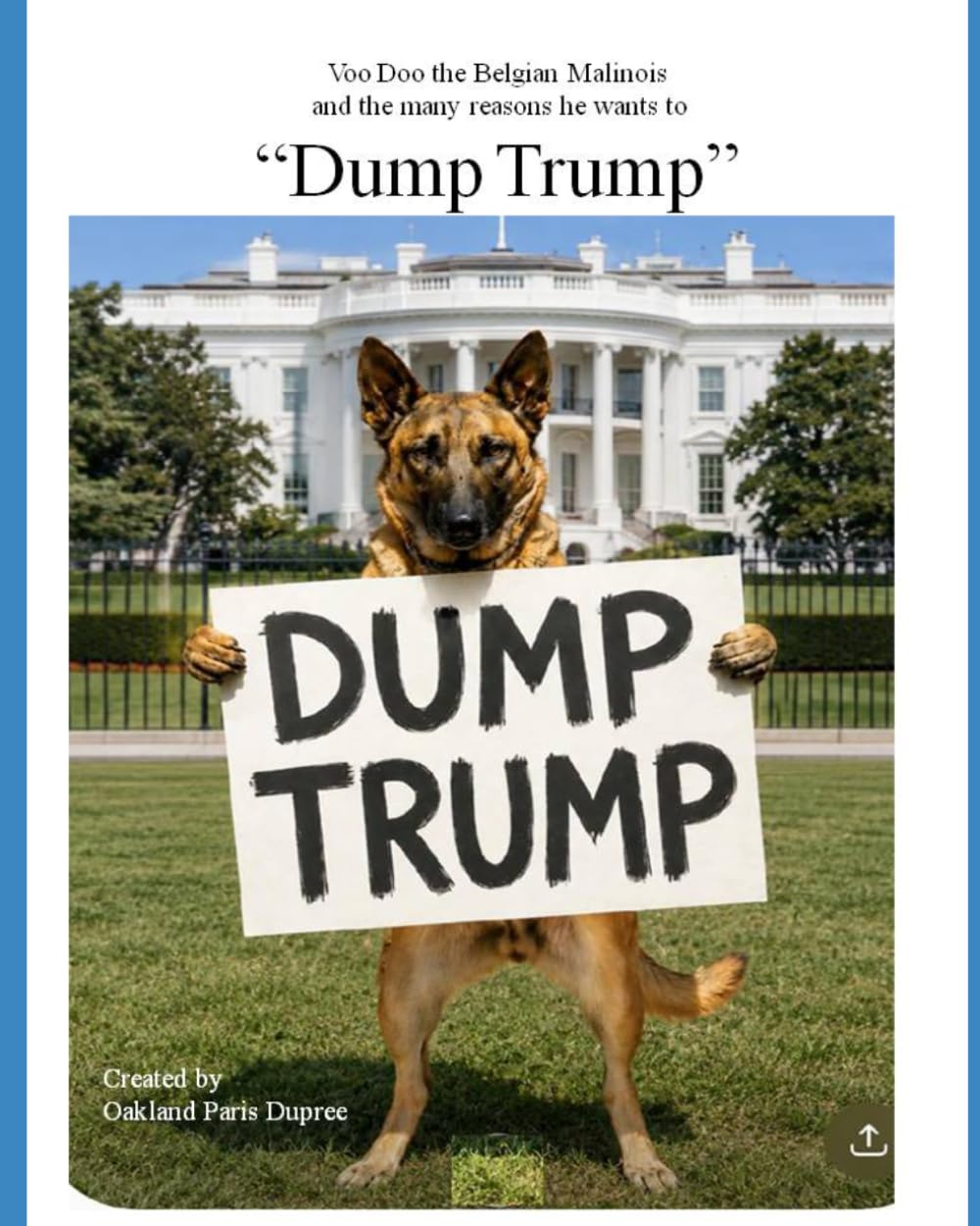 Voo Doo the Belgian Malinois and the many reasons he wants to "Dump Trump"