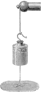 Leyden Jar Na Leyden Jar Connected To An Electricity Conductor Engraving French 19Th Century Poster Print by (18 x 24)