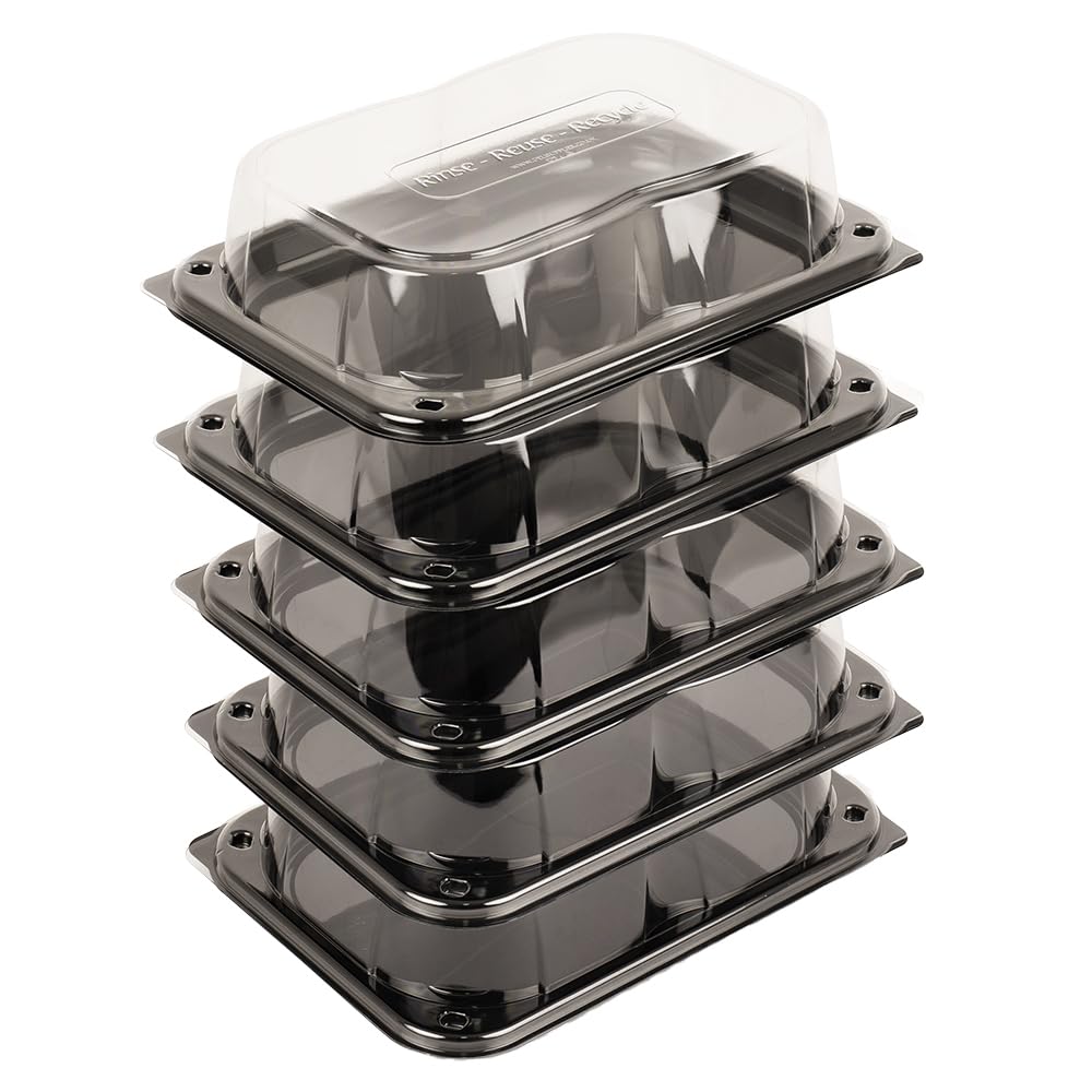Delisupplies Clear Lid Black Base 5 X Ultimate Small Sandwich Platter With Lid, Unique Press Stud Secure Closing, Rectangle Food, Cake, Tray Set Black Base Clear Lid Serving Platters For Buffet, Catering, 255 X 180Mm