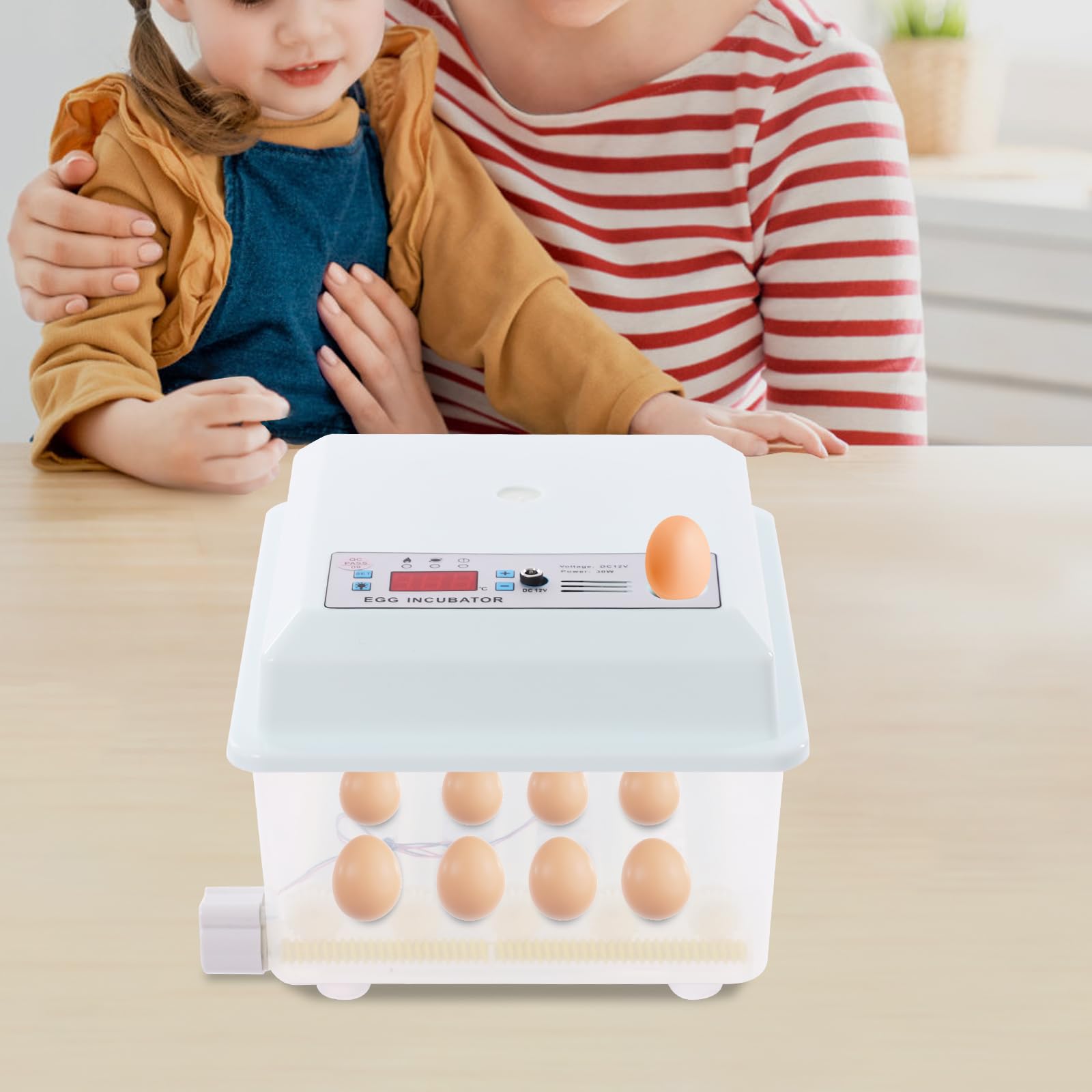 Incubatore automatico completamente automatico, incubatrice automatica per 16 uova, incubatrice pollame, incubatrice a rotazione automatica, incubatrice elettrica con schermo per pollo, anatra, oca