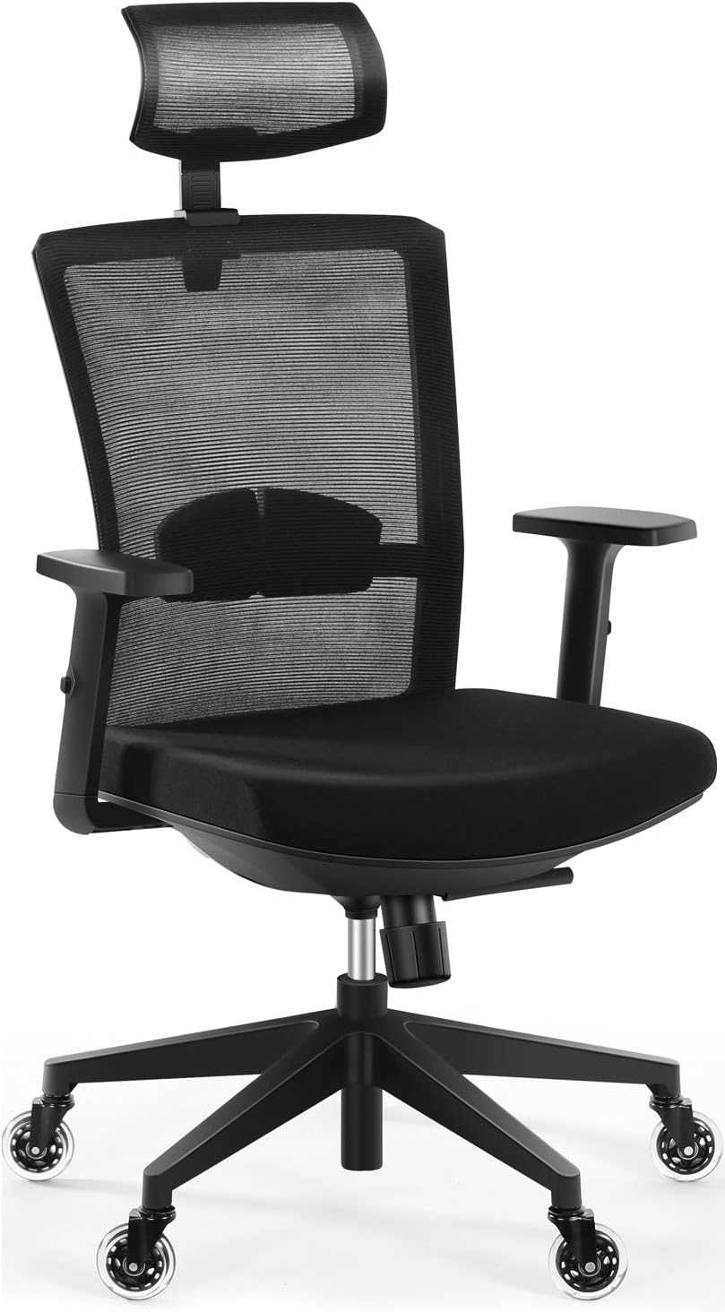 Buy Ergonomic Office Chair, Tribesigns High Back Desk Chair with Lumbar