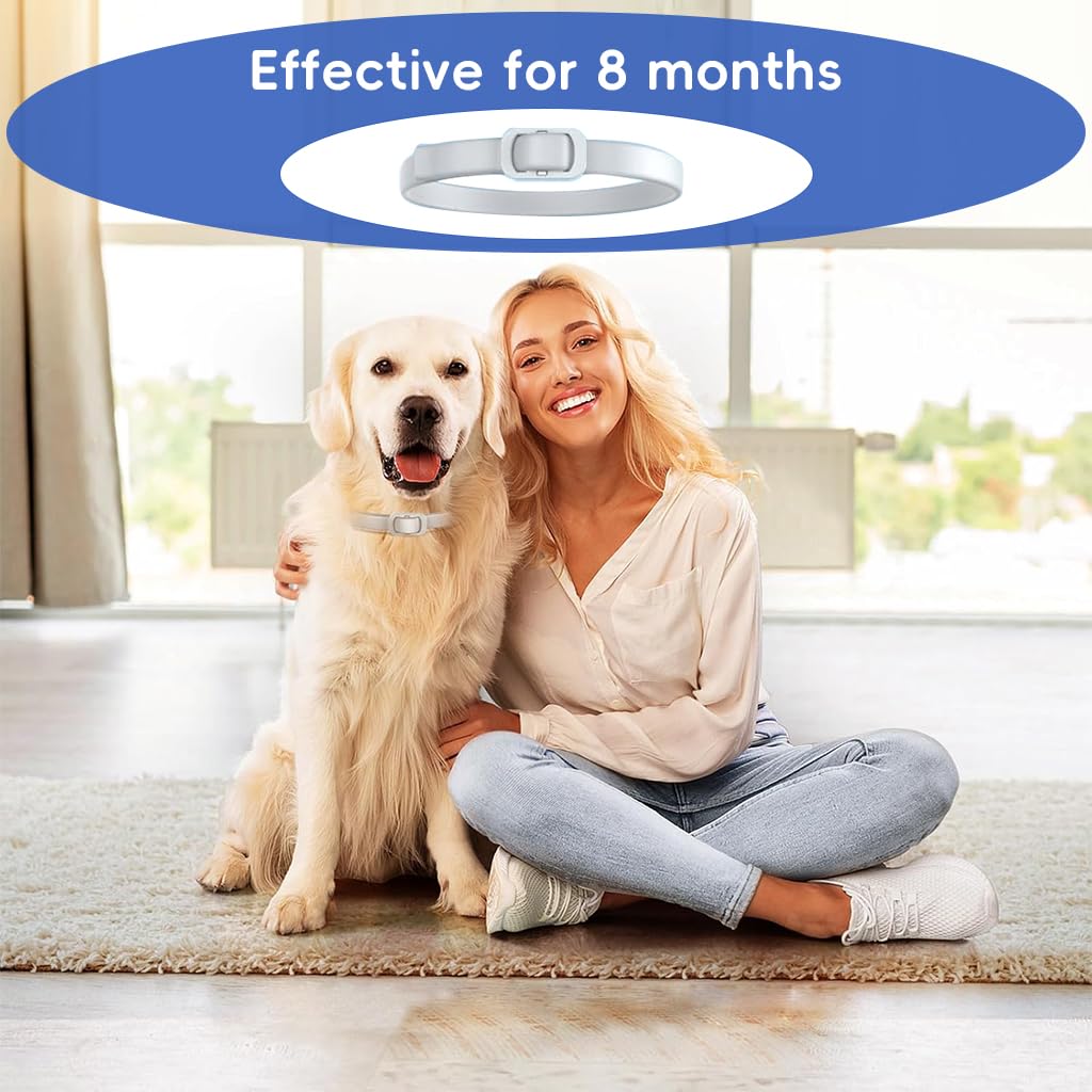 Qpets Flea and Tick Collar for Dogs Adjustable Waterproof Collar 38cm 4