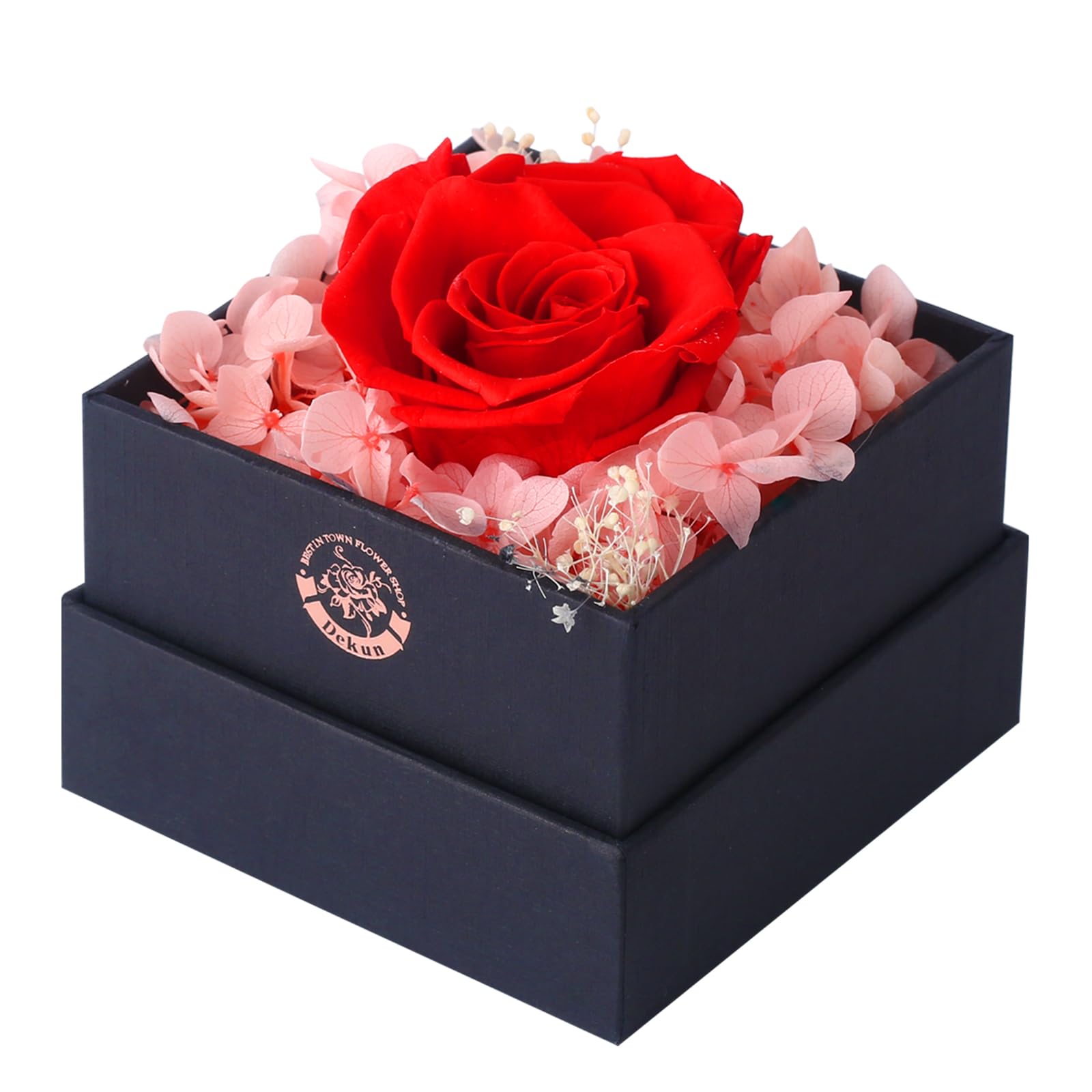 Dekun Preserved Rose Gift Box, Preserved Real Rose for Her, Premium Fresh Cut Rose,Mothers Day Rose Valentines Day Gifts That Last a Year (Red)