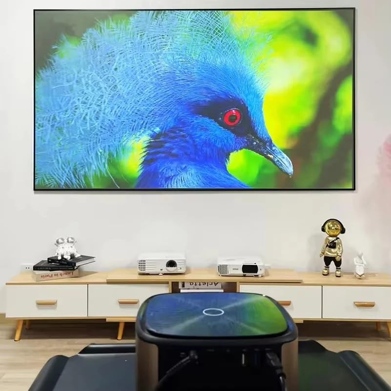 Pantalla de proyección fija 133 pulgadas 16:9 miniatura 5