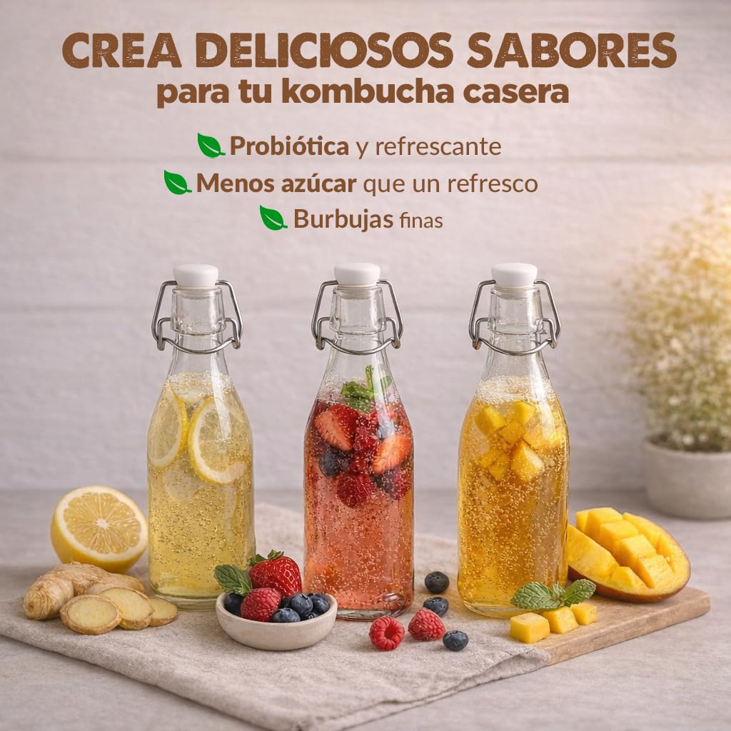 Pack 2X Disco SCOBY Kombucha Fresco + Instrucciones + Recetas + Ayuda y Asesoramiento en español - OH MY KÉFIR