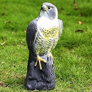 HHH HUNTING® Large Realistic Falcon Decoy Bird Deterrant,Lifelike Full Bodied Bird Of Prey Pest Control Garden Statue Cat And Bird Repeller Garden Pond Decoration.
