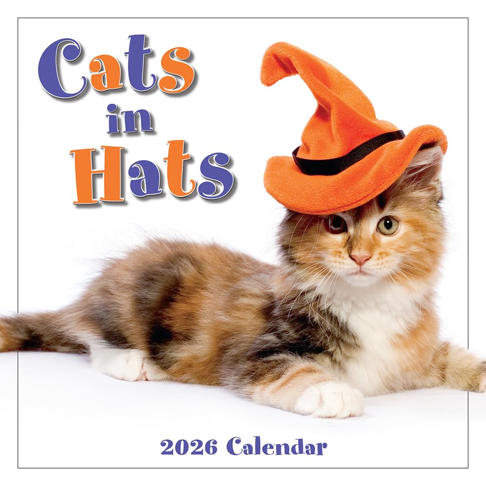 Cats in Hats 2026 Mini Wall Calendar, Funny Cat Photography in Costumes, 7" x 7"