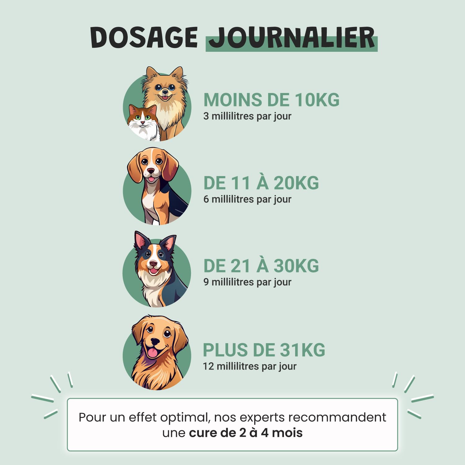 Museau & Co Anti-Stress Chien Chat - Complément Calmant Anxiété & Feux d'artifice - Valériane Passiflore Griffonia Houblon - Liquide Pipette - Formulé par des Vétérinaires - Fabriqué en France