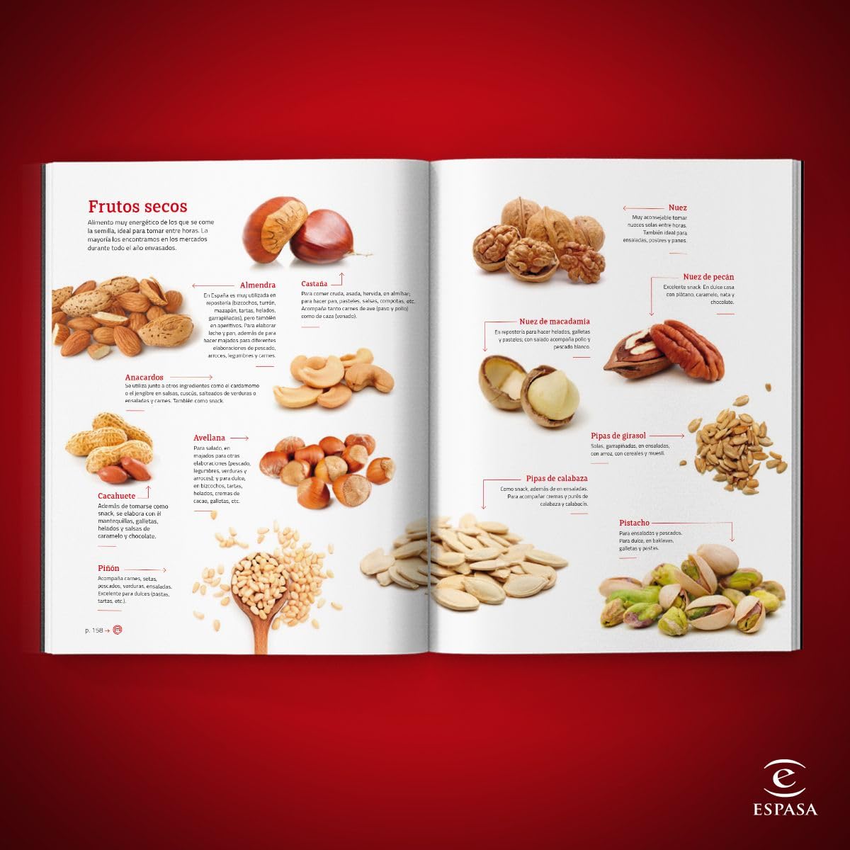 La Biblia de MasterChef (Espasa Gastronomía)