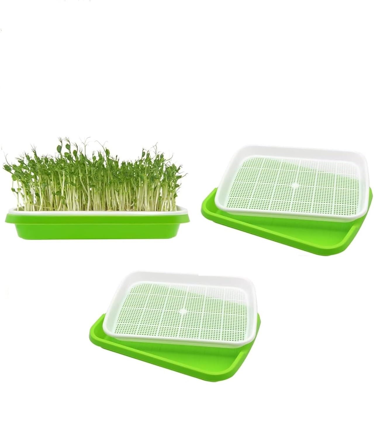 Praha Seed Sprouting Tray Without Lid, Microgreens Growing Nursery Tray Seed Germination Tray with Drain Holes for Growing, Bean Sprouts, Cat Grass, Wheat Grass, Mung, Garden Home Office (Pack of 3) (B0D7Q45PHC) Amazon Price History, Amazon Price Tracker