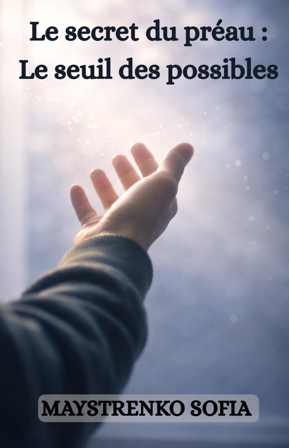 Le secret du préau : Le seuil des possibles