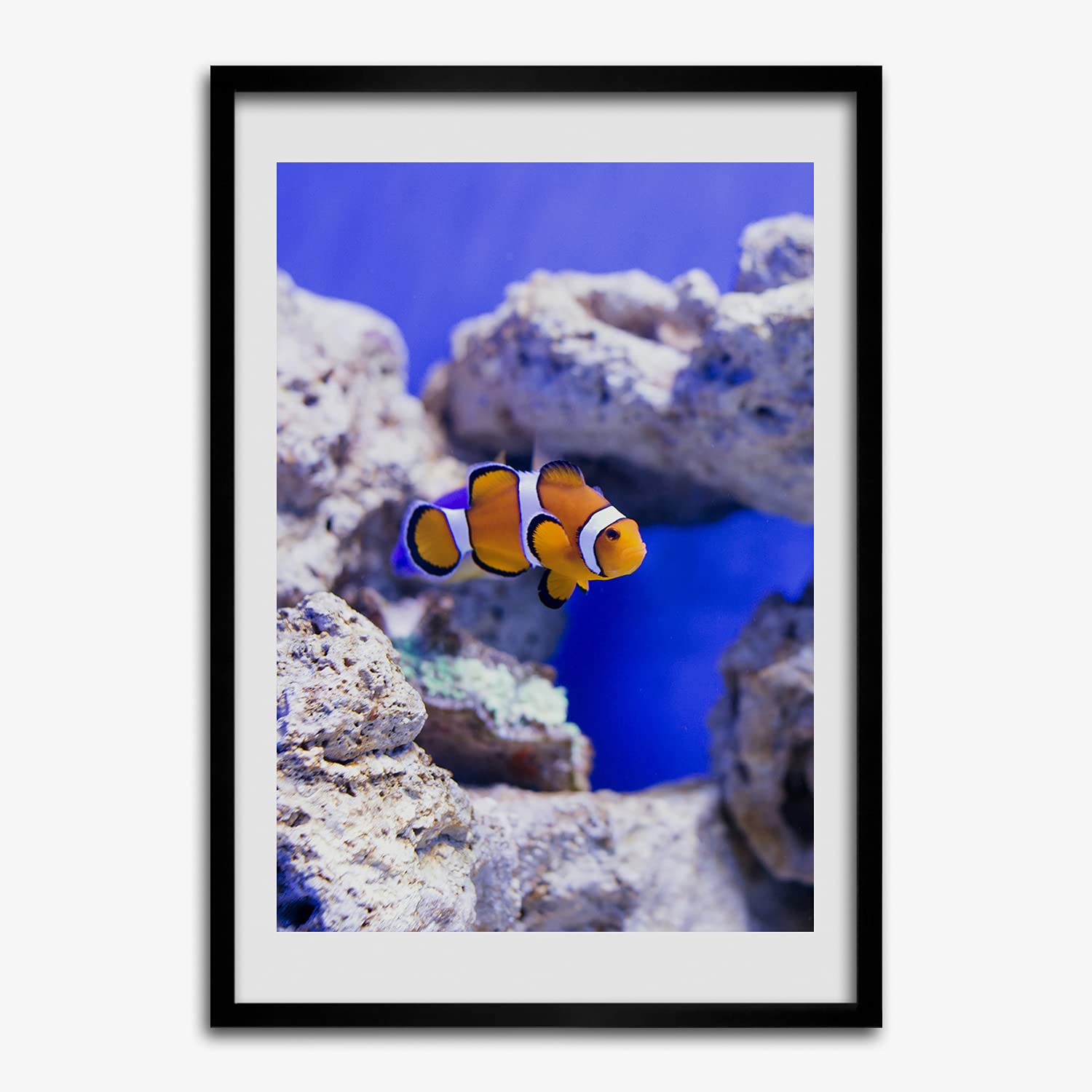 Cadre en bois MDF 50x70 cm avec affiche poisson Nemo pour décoration murale moderne