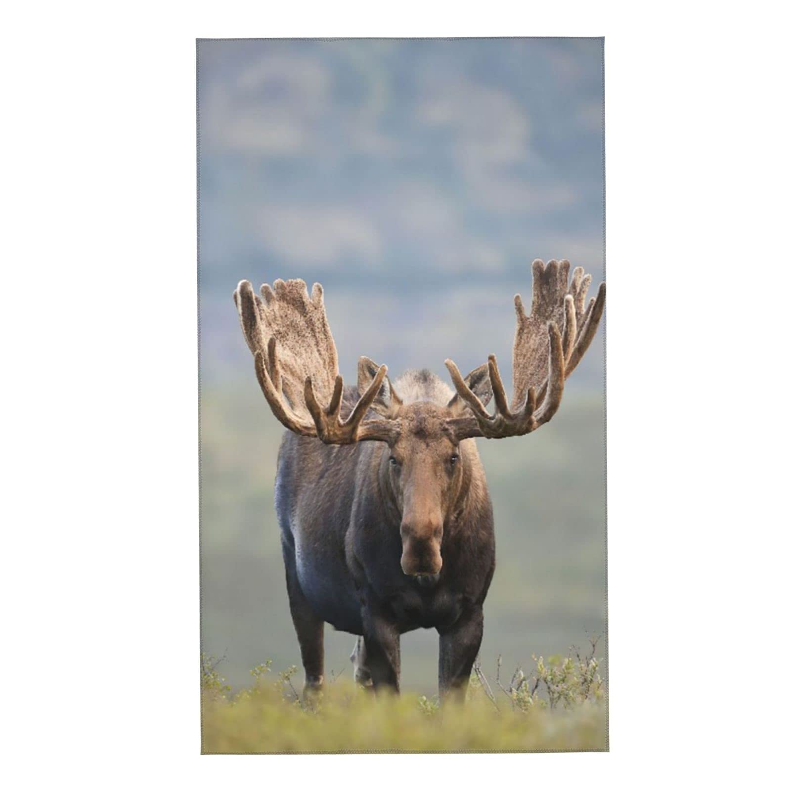 Lsjuee Bull Moose Beach Towels Cute Sand Resistant Superfine Fiber Baby Beach Towels for Girls for Swimming Picnic Cruise Swimming Class Exercise or Training Gym Fitness Honeymoon 32INx52IN