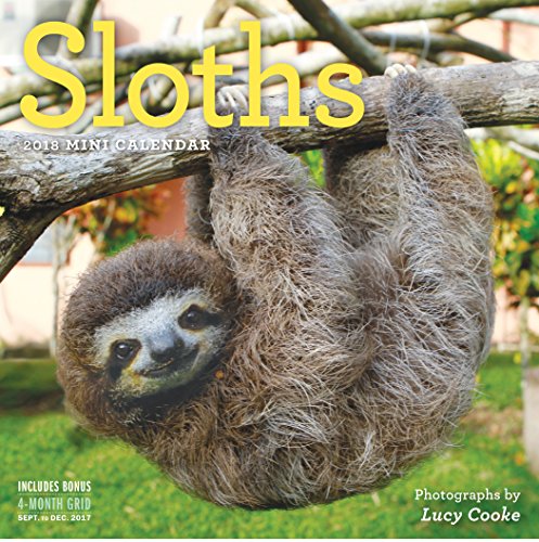 Preisvergleich Produktbild Sloths Mini Wall Calendar 2018