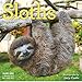 Produktbild Sloths Mini Wall Calendar 2018