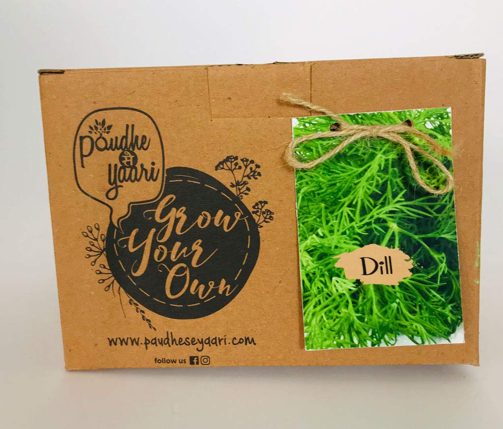 Paudhe Se Yaari Grow Your Own Dill Kit. Indoor Outdoor Herbs Vegetables