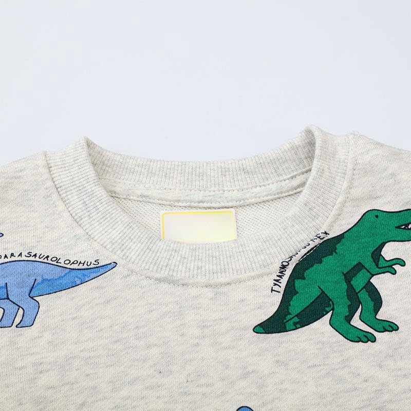 Irsutey Toddler Boys Crewneck Sweatshirts Cotton Dinosaur Cartoon Pattern Long Sleeve Casual Trendy Pullover Tops 1-7Y3