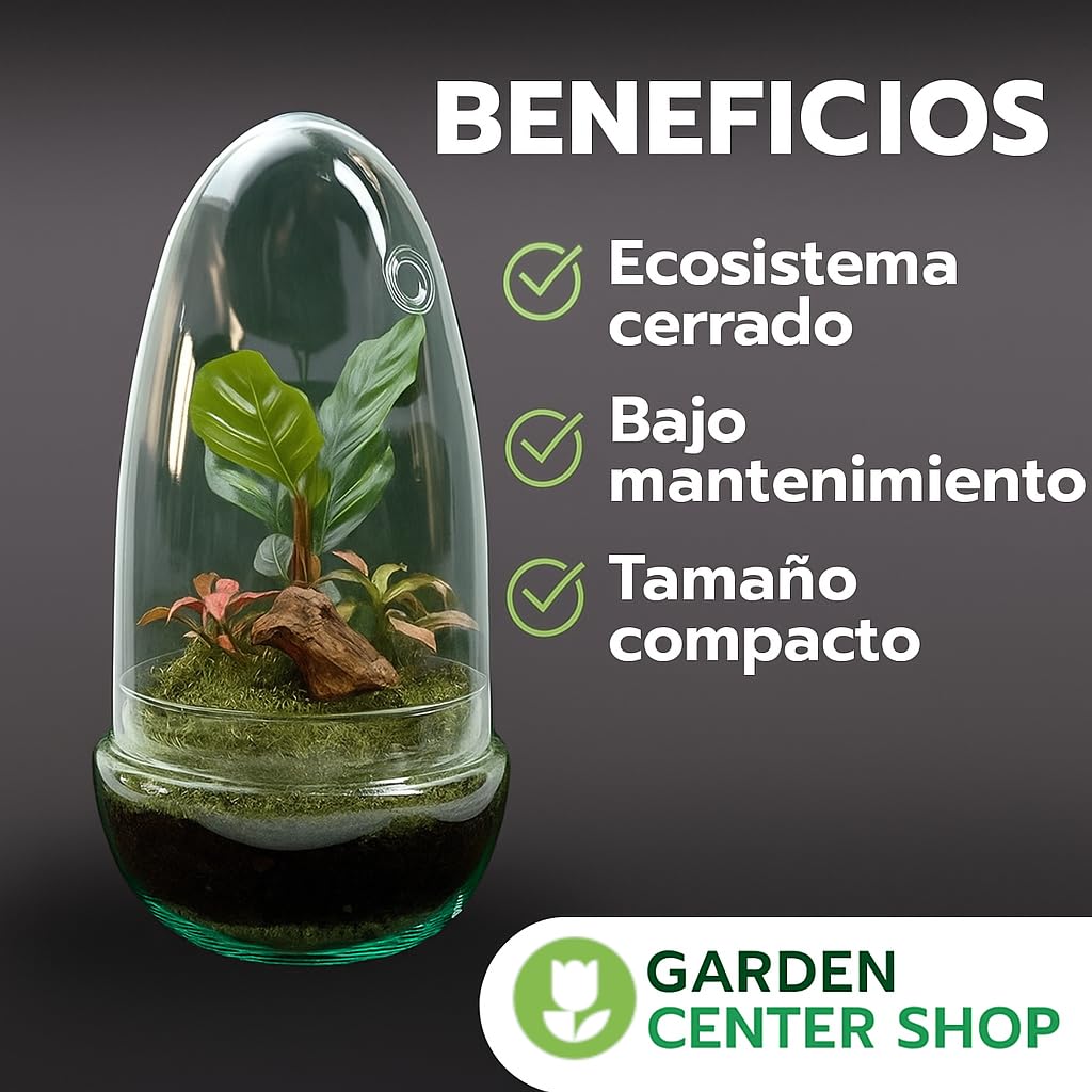 Garden Center Shop | Terrario Planta Natural Egg MAKOFITT 12x22 cm | Ecosistema Cerrado en Cristal | Mini Jardín Vivo | Decoración Original y Sostenible