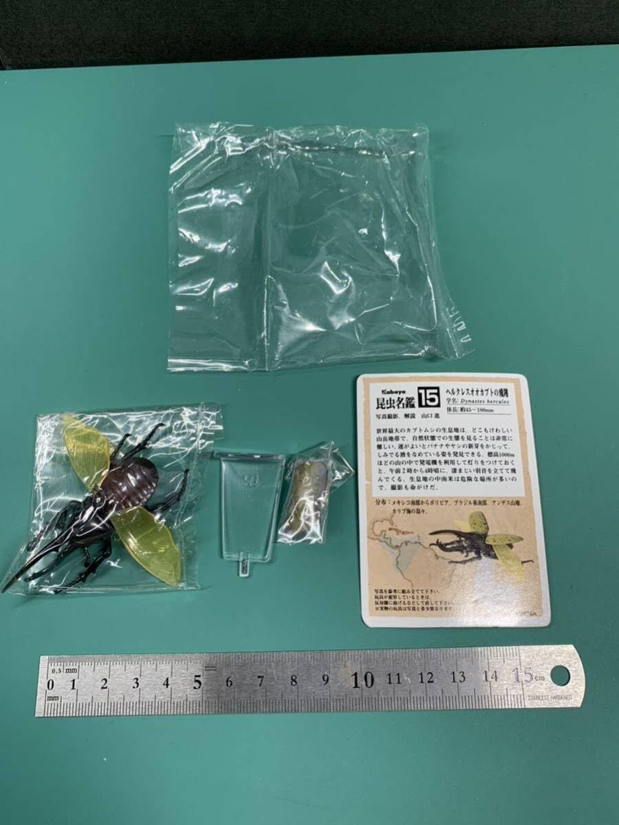 Amazon.co.jp: ヘラクレスオオカブトの飛翔 No.15 Kabaya 食玩 昆虫