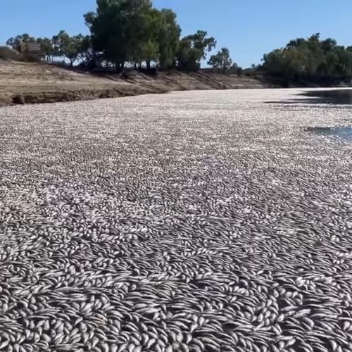 『When the Gods Went Missing』のカバーアート