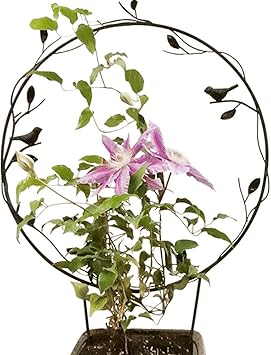 Amazon Umora園芸支柱 植物支柱 サポート 花支え 蔓植物 籐を登る 盆栽 鳥 ガーデン アンティーク ラウンド 支柱
