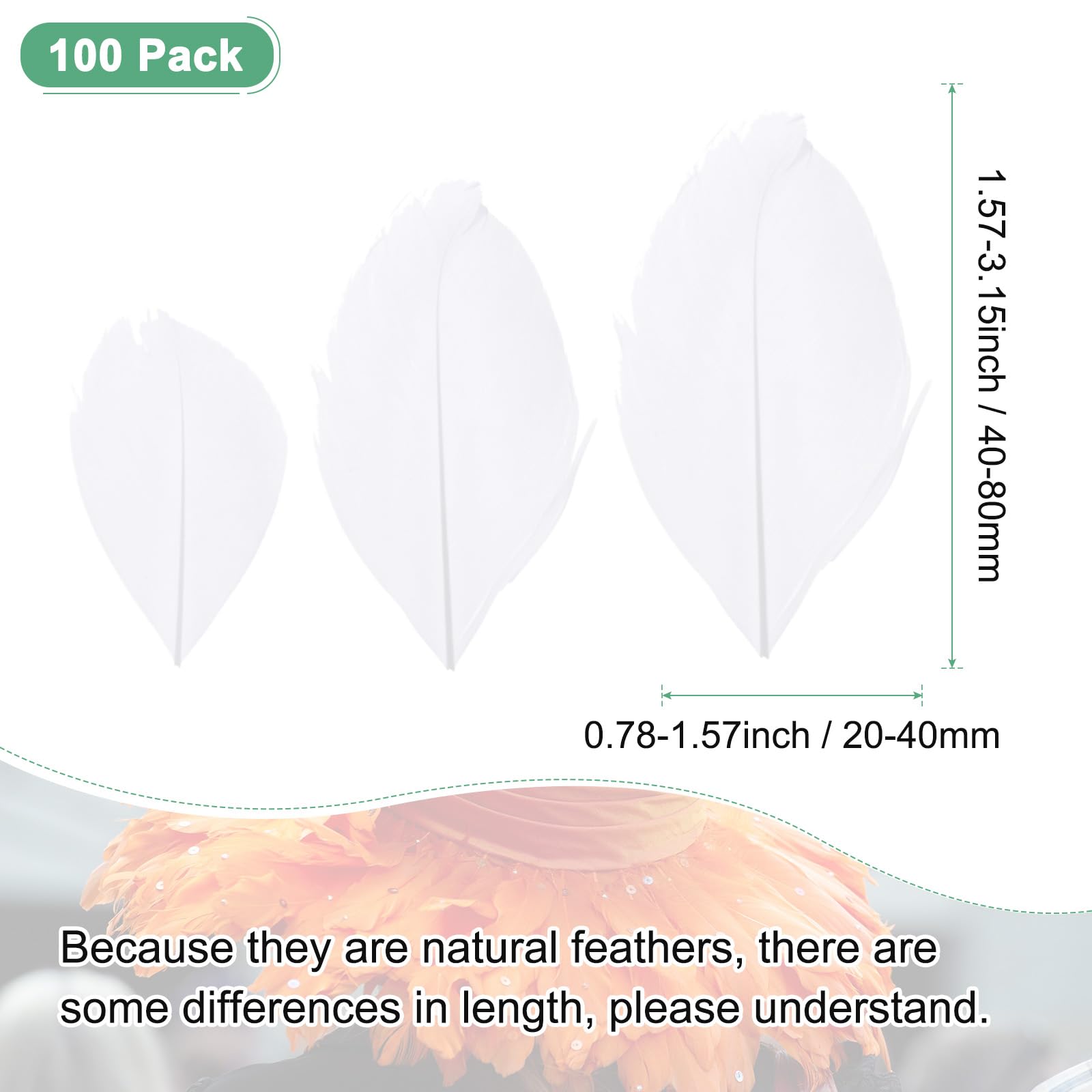 M METERXITY 100-Pack Goose Feathers - Image 3