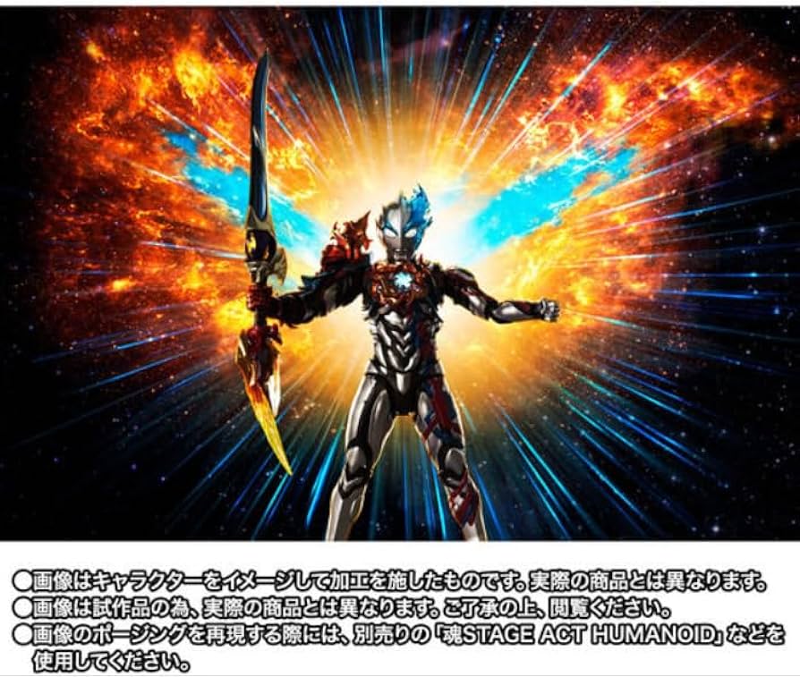 Amazon.co.jp: TAMASHII NATION 2024 開催記念商品 S.H.Figuarts