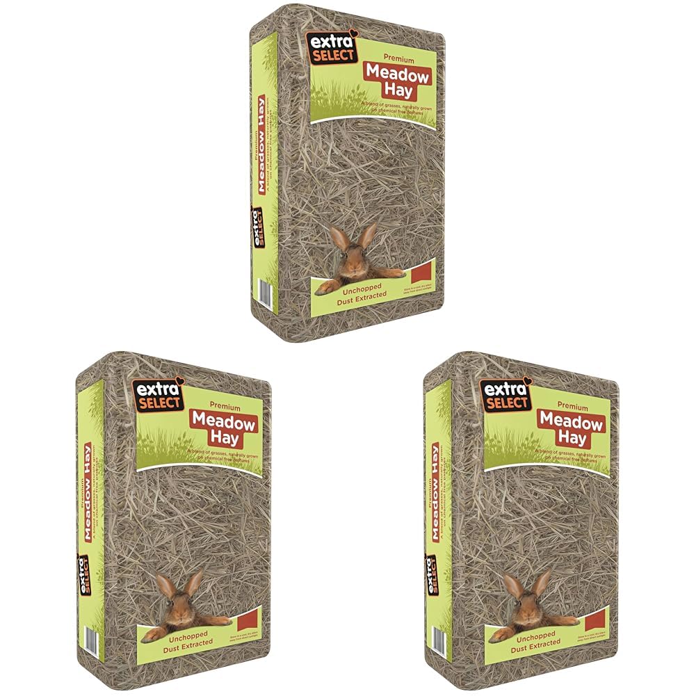 Extra Select Premium Meadow Hay for Small Animals - UK Sourced ideal Rabbit Food, Hay for Guinea Pigs, Hedgehogs, etc - 1kg — view 3