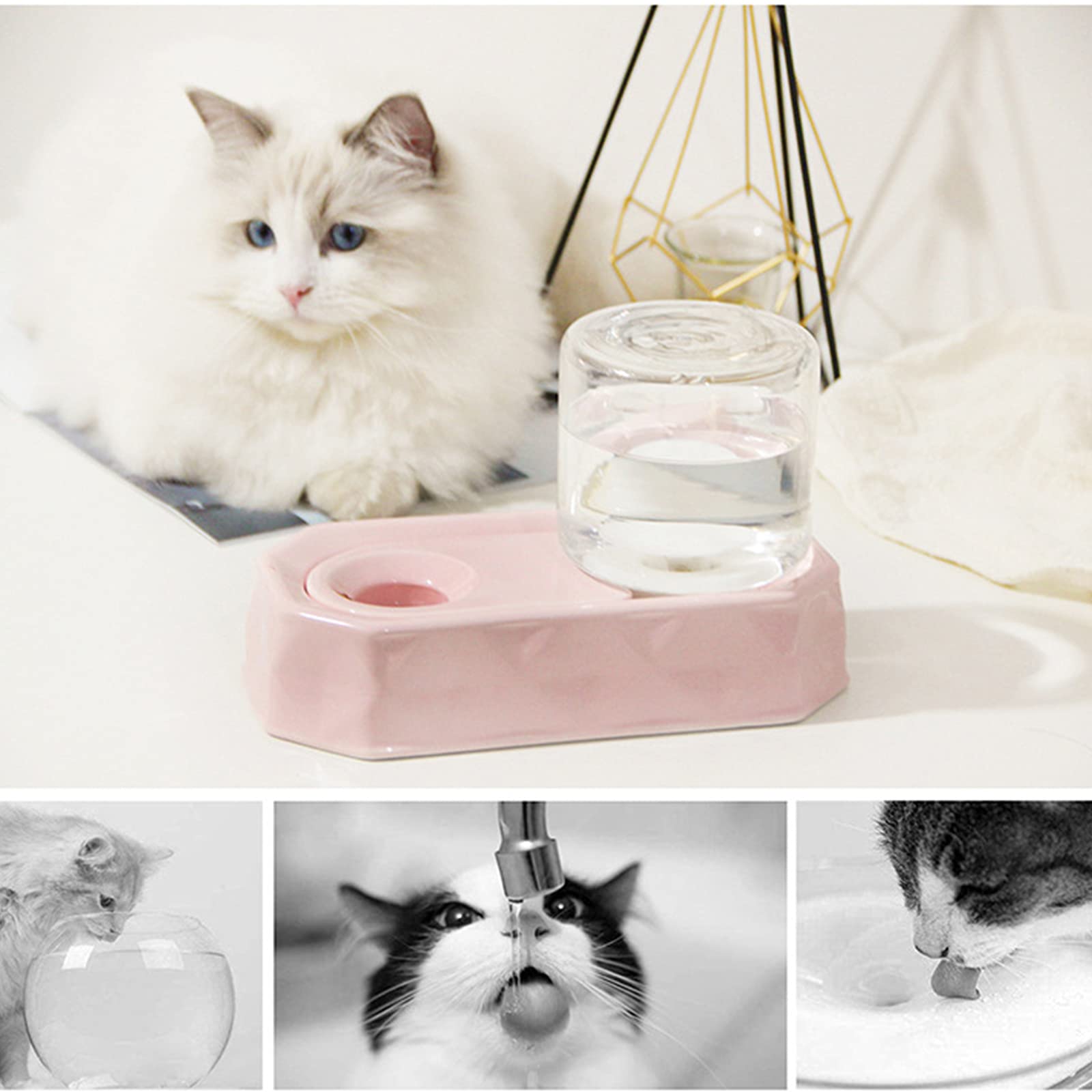 Bebederos para Gatos y Perros, bebederos de cerámica para Mascotas, bebederos de Cara no húmeda,Blanco
