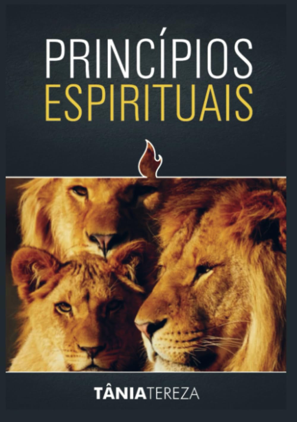 Princípios Espirituais