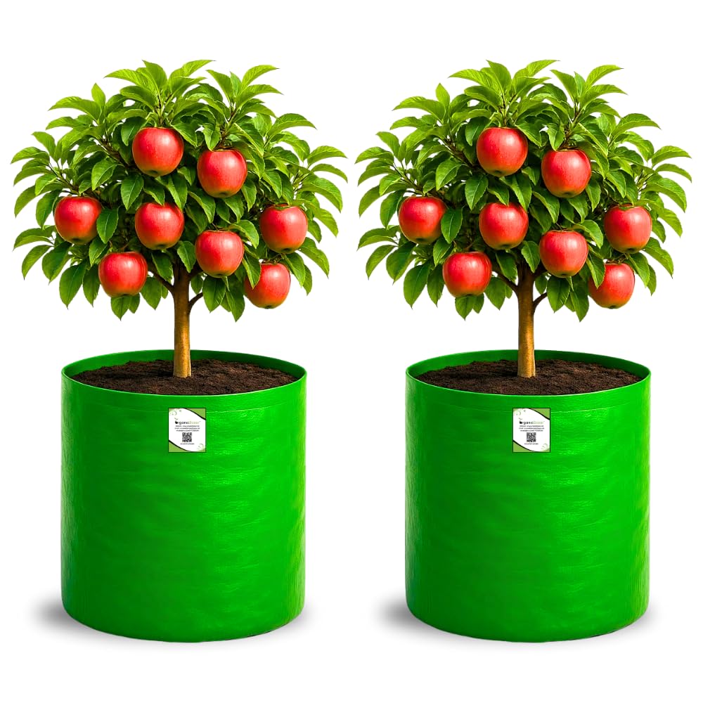 Big Fruit Plant Grow Bags - Organic Bazar (Pack of 2) -1 Big Fruit Plant Grow Bags - Organic Bazar (Pack of 2) -1