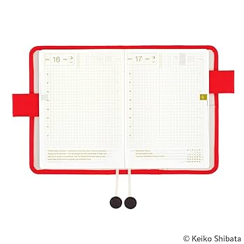 Amazon.com : Hobonichi Techo Original/Planner Cover [A6