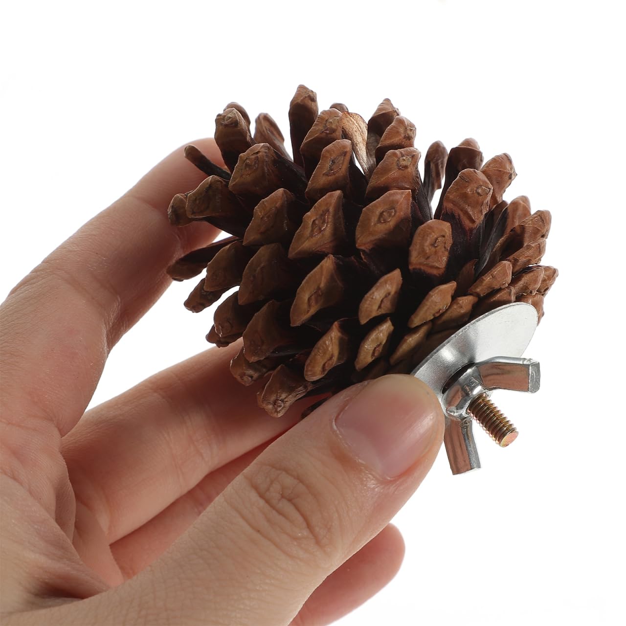 10 Pcs Natural Pine Cones Bird Toys, Parrot Chew Toy for Cage, Wood Foraging Shredding Playthings Conure Cockatiel Parakeet African Grey Macaw Nut Fixed - image 2
