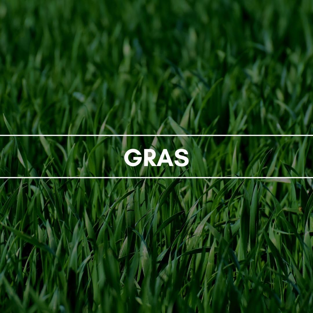 Automatischer Auto-Duftspender mit MotionSensor | Aroma Streamer 370 von REIMA | edles Autoparfüm Duft "Grass" | akkubetriebener Lufterfrischer | frisch gemähtes grünes Gras