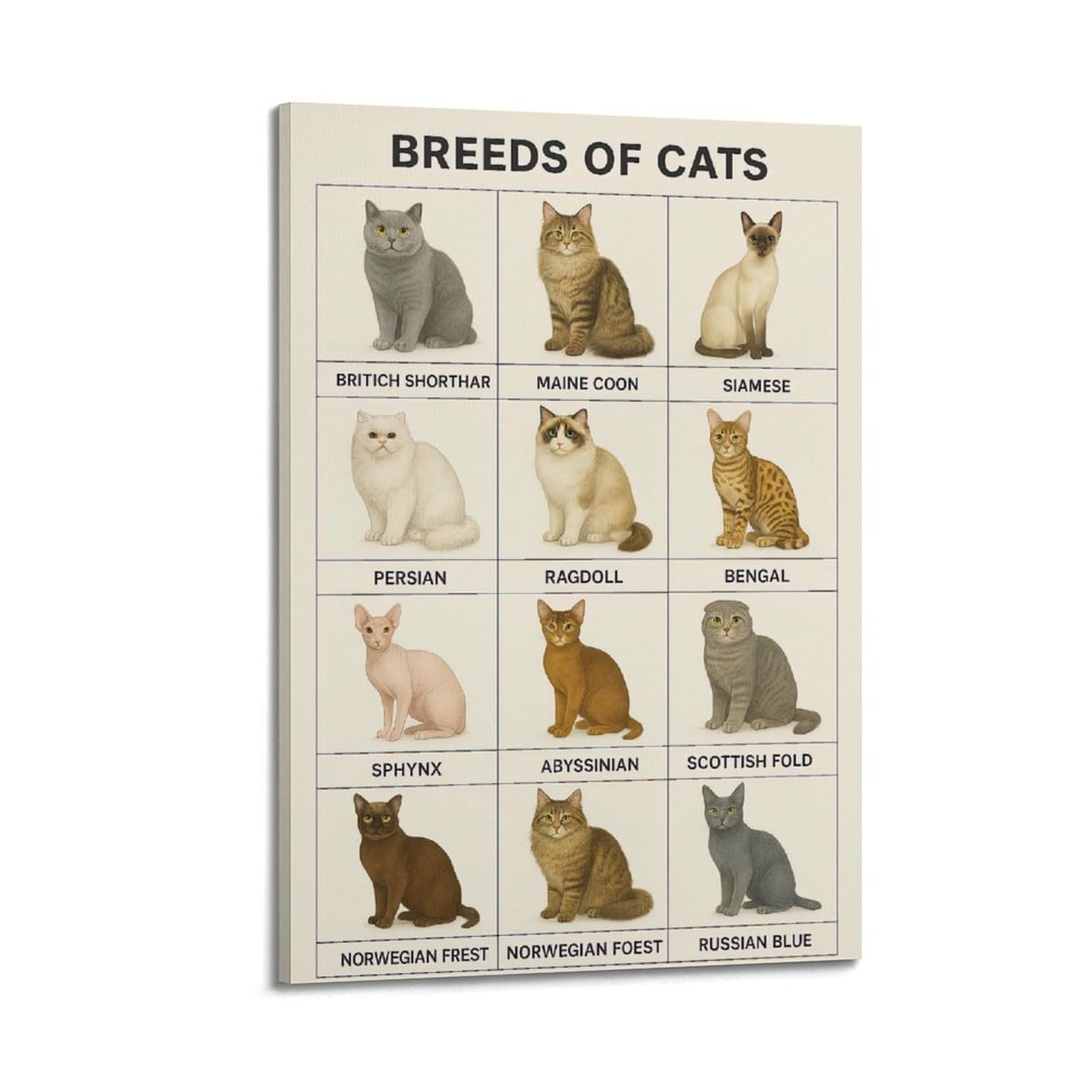 ESTE Vintage Animal Cat Poster Breeds of Cats Artwork Decorative Painting Canvas Modern Art Picture 24x36inch(60x90cm)