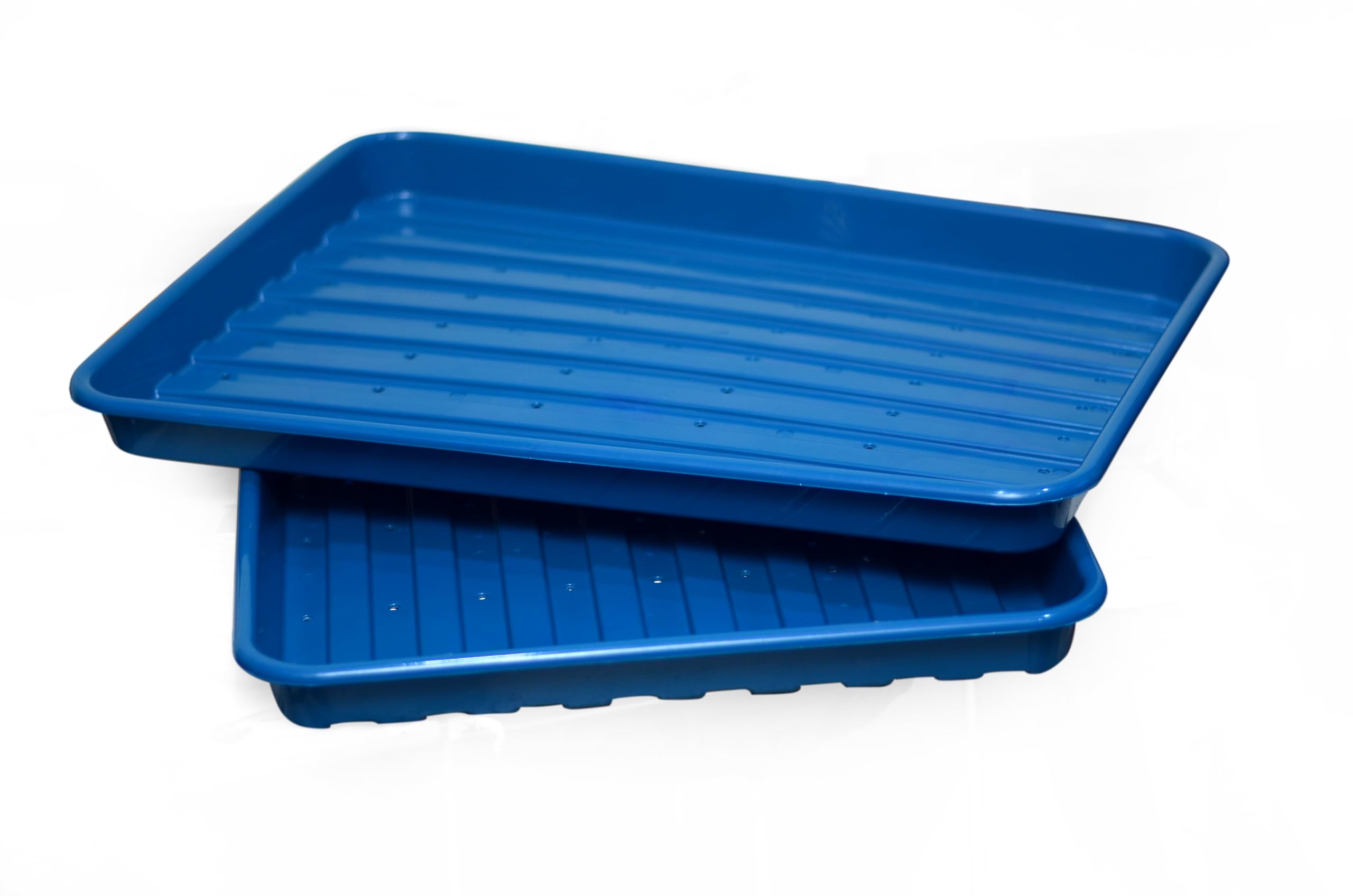 Aadya Hydroponics HDPE Fodder Tray, Blue, Pack of 5, Germination Trays for Maize, Wheatgrass, Microgreens, Reusable Growing Tray-image-28