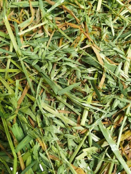 Cremas Y Lociones, Video On Demand Imagen adicional