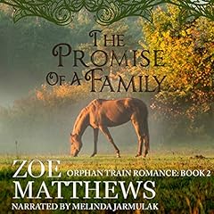 The Promise of a Family Audiolibro Por Zoe Matthews arte de portada