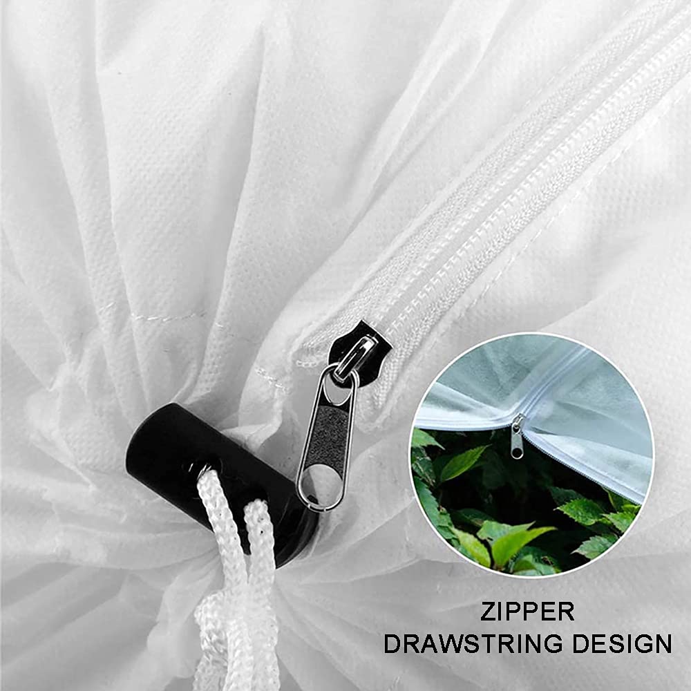 Housse De Protection Hivernale Transparente Pour Plantes - Taille 100x80 Cm - PE Réutilisable - Anti-gel Et Anti-pluie