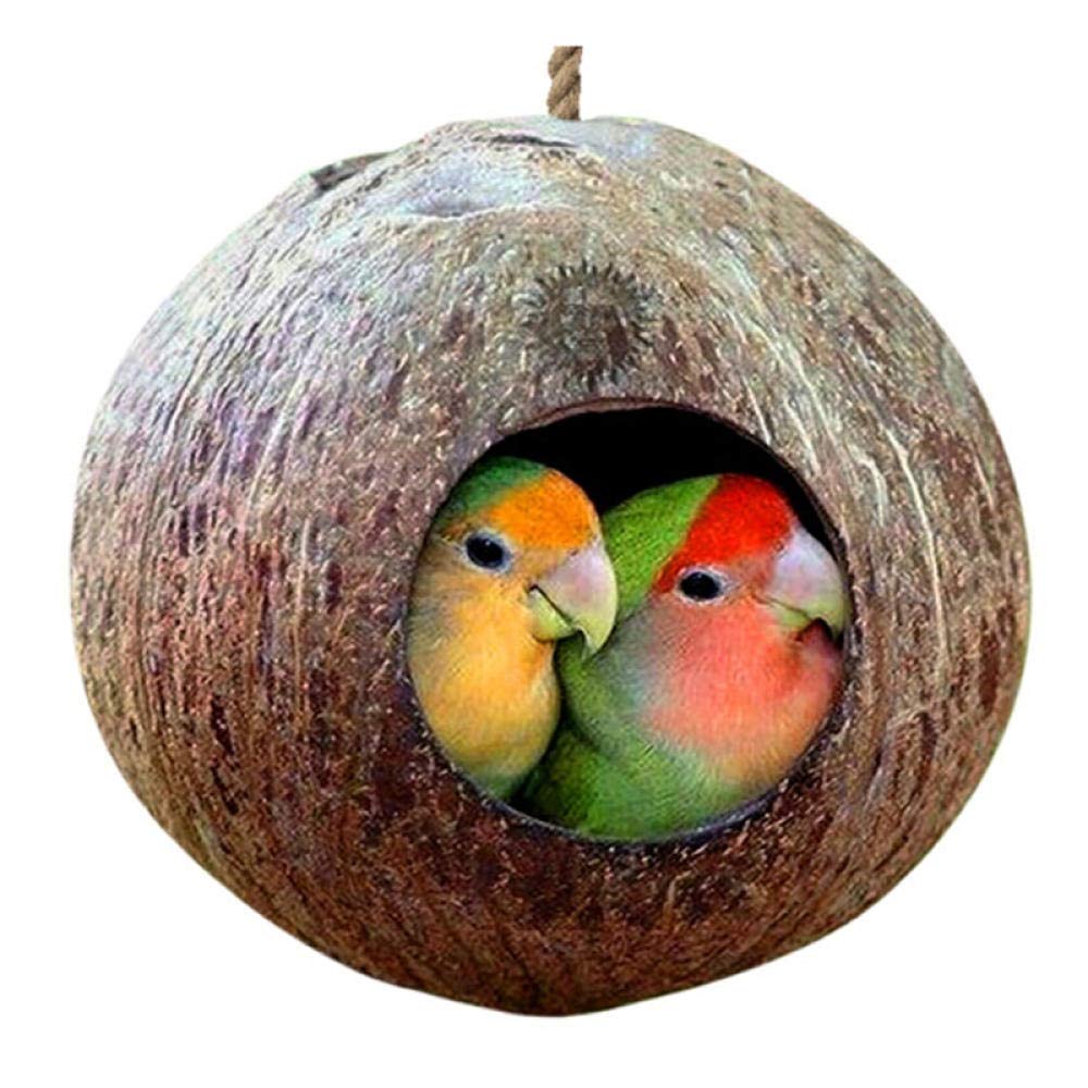 Set 2 Nidi Per Uccelli In Guscio Di Cocco Naturale - Casa Per Pappagalli, Canarini E Piccoli Animali, Design Artigianale Per Giardino